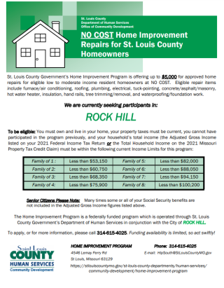 St. Louis County info