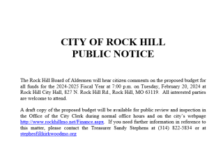 Public Hearing for 2024/2025 proposed budget